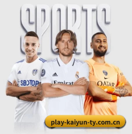 kaiyun体育 APP 界面