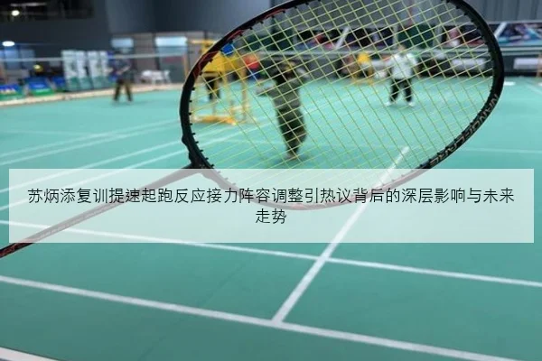 苏炳添复训提速起跑反应接力阵容调整引热议背后的深层影响与未来走势