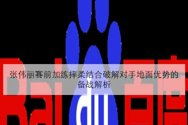 张伟丽赛前加练摔柔结合破解对手地面优势的备战解析